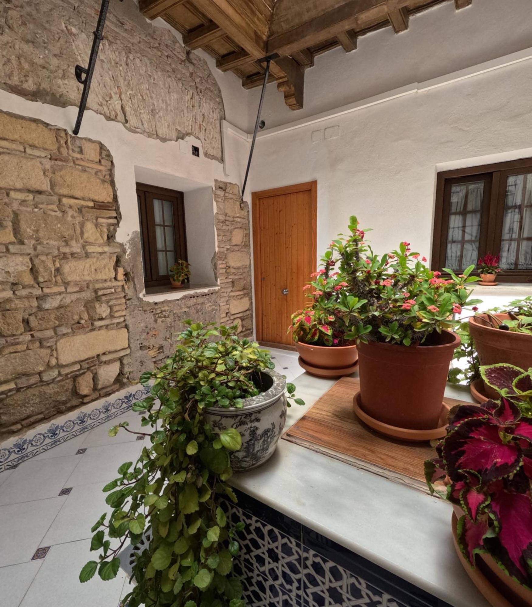 El Rincon De Carmen Apartment Херес де ла Фронтера Екстериор снимка